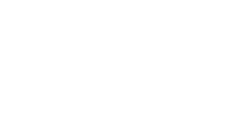 DLS Vehicle Sales